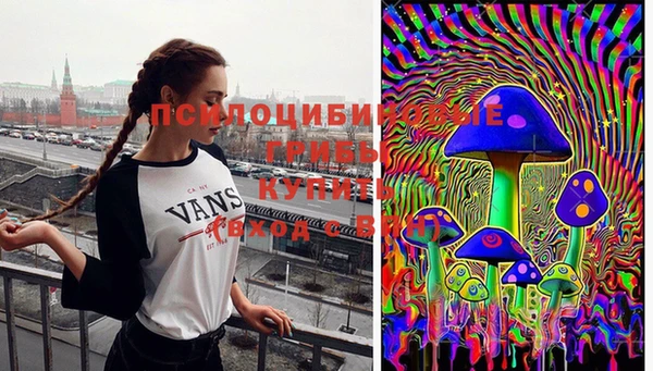 молекула духа Вязьма