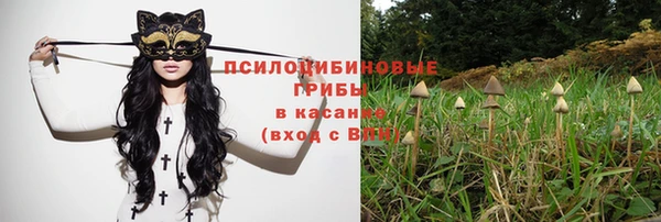 шишки Волоколамск