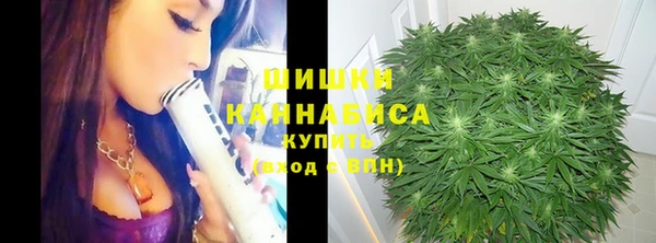 молекула духа Вязьма