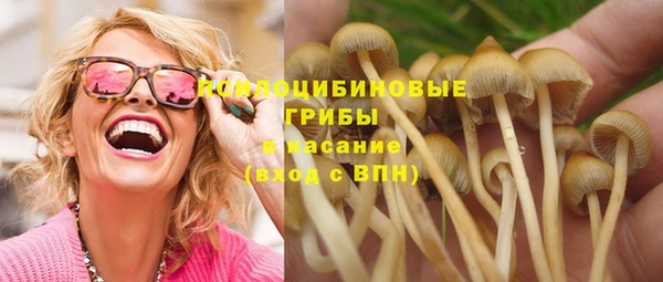 эйфоретик Вязники