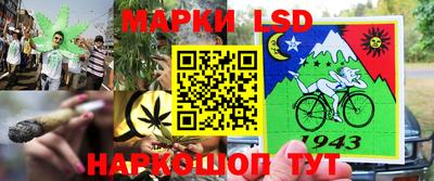 спиды Заволжье