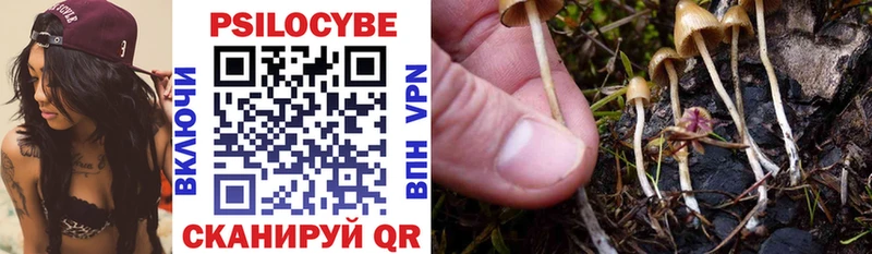 Галлюциногенные грибы Cubensis  сайты даркнета телеграм  Можга  купить  цена 