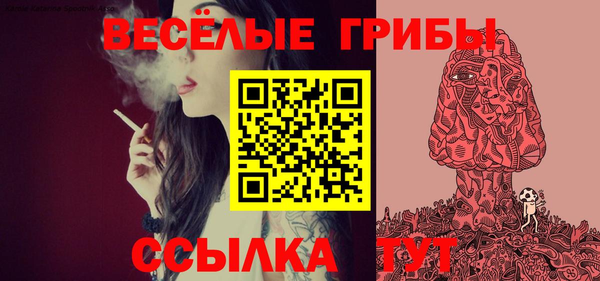 Псилоцибиновые грибы MAGIC MUSHROOMS Можга