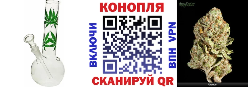 Марихуана план  Можга 